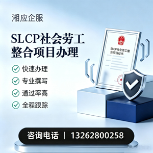 广州SLCP社会劳工整合项目申报服务