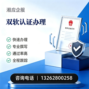 广州双软认证申报服务