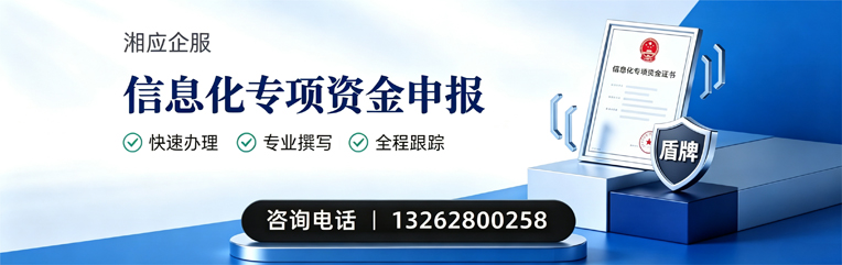 广州信息化专项资金申报服务