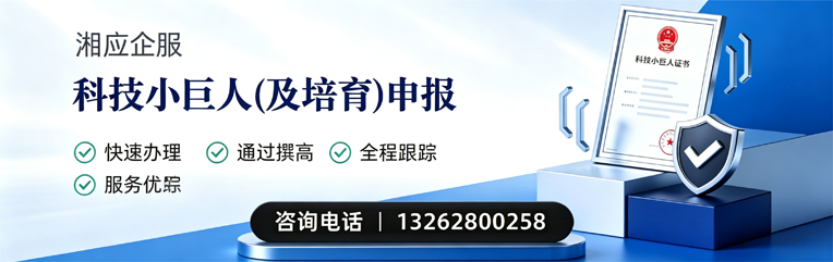 广州科技小巨人及培育企业申报服务