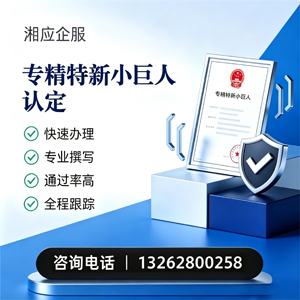 广州专精特新小巨人申报服务