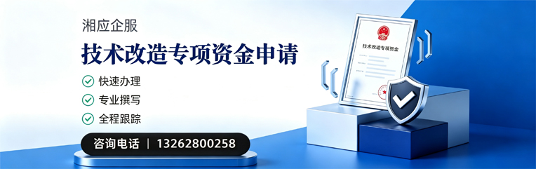 广州技术改造专项资金申报服务