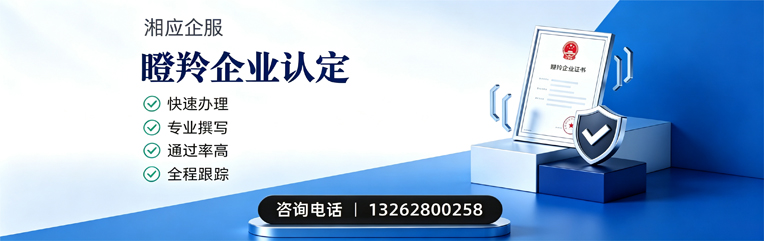 广州瞪羚企业认定申报服务