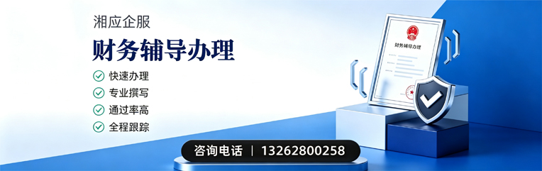 广州财务辅导申请服务