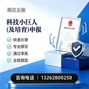 广州科技小巨人及培育企业申报服务