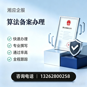 广州算法备案申报服务