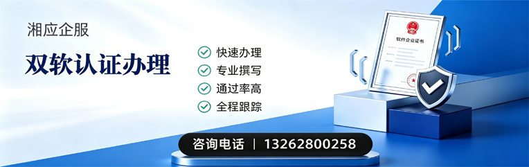 广州双软认证申报服务