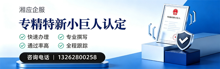 广州专精特新小巨人申报服务